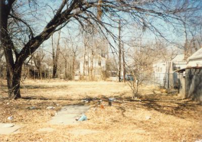 1316 Alston 1995
