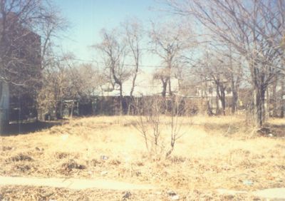 1320 Alston 1995
