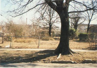 1420 Lipscomb 1995
