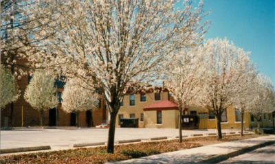 1431N Lipscomb back 1995
