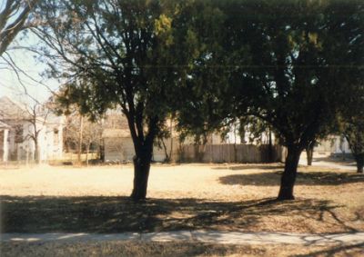 1527 Alston 1995

