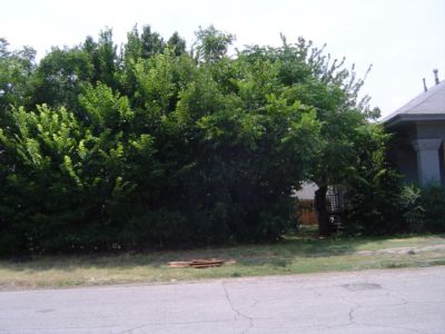 1554 College 2005
