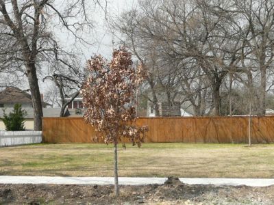 1716 6th 2008
