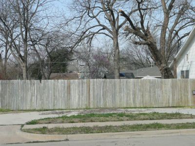 1908 Adams 2008
