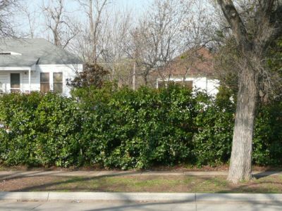 2254 Lipscomb 2008
