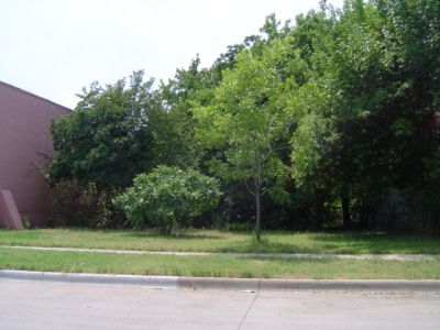 2258 College 2005
