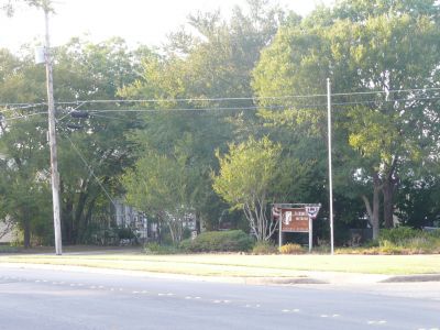 Allen Greenspace 2011
