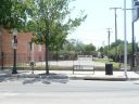 0721_Magnolia_2011.JPG