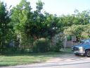 0800_Jessamine_2005.JPG