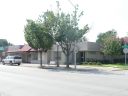 1065_Magnolia_2011.JPG