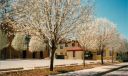 1431N_Lipscomb_back_1995.jpg