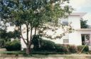 1551_Morphy_side_1994.jpg