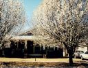 2222_Fairmount_1995.jpg