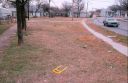 Allen_Greenspace_1988.jpg