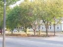 Allen_Greenspace_south_2011.JPG