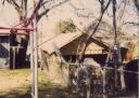 Filename=1512_Lake_garage_1998z.jpg
Filesize=320KiB
Dimensions=870x624
Date added=Dec 02, 2012 1512_Lake_garage_1998z.jpg