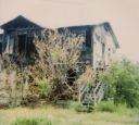 1728_Lipscomb_1994.jpg