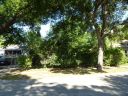 Filename=2254_Lipscomb_2014.JPG
Filesize=505KiB
Dimensions=1365x1024
Date added=Jun 09, 2014 2254_Lipscomb_2014.JPG